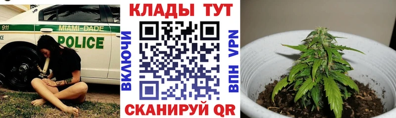 Купить закладку Дубовка Гашиш  СОЛЬ  Меф  Конопля 